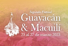 BannerWeb_2do-Festival_Guayacan