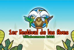 BannerWeb_Festival_Aves