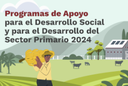 BannerWeb_Programas Desarrollo 2024