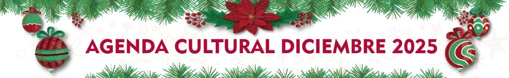 Banner_WEB DICIEMBRE-2025