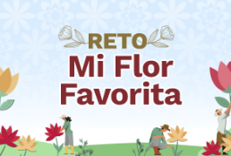Banner_Web_Flor-Favorita