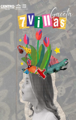 Gaceta_7_villas